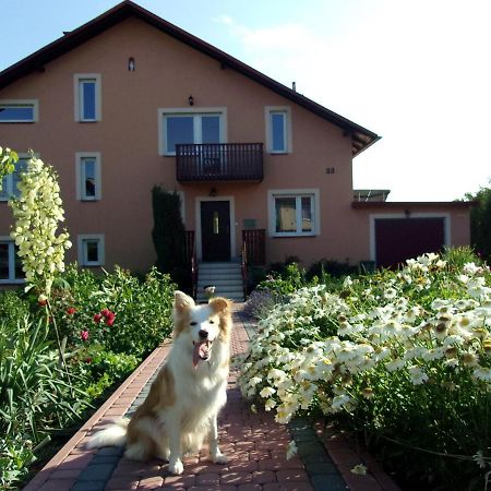 Agroturystyka U Basi Wola Kalinowska Εξωτερικό φωτογραφία